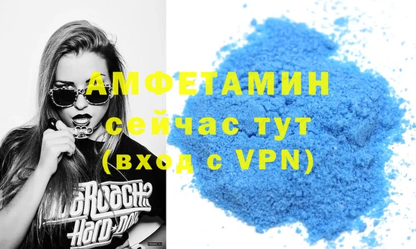 гидра Вязьма