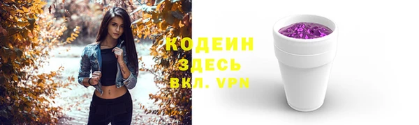 эйфоретик Вяземский