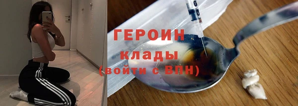 гидра Вязьма