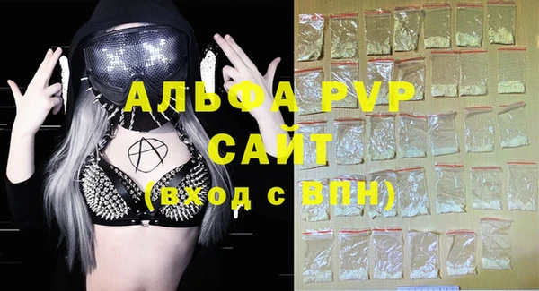 эйфоретик Вяземский