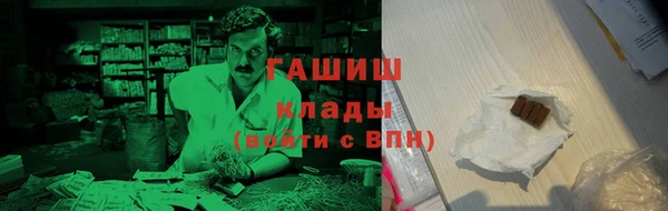 гидра Вязьма