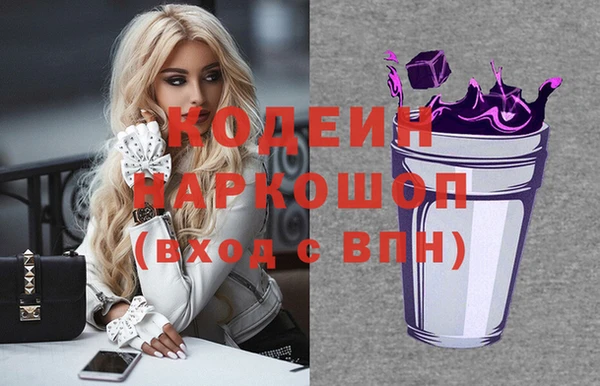 гидра Вязьма