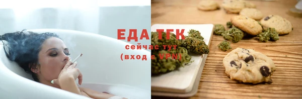 гидра Вязьма
