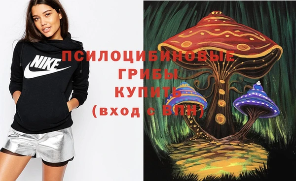 молекула духа Семикаракорск
