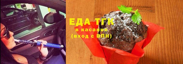 эйфоретик Вяземский