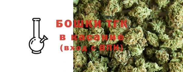 эйфоретик Вяземский