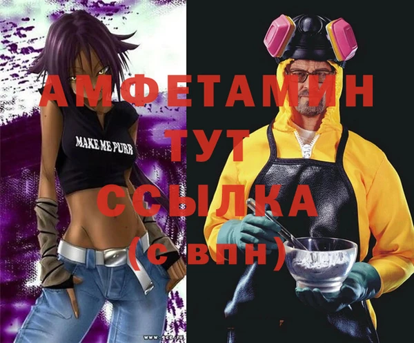 гидра Вязьма