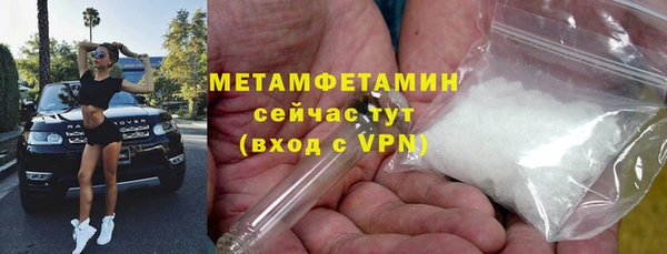 гидра Вязьма