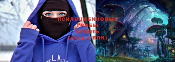 гидра Вязьма