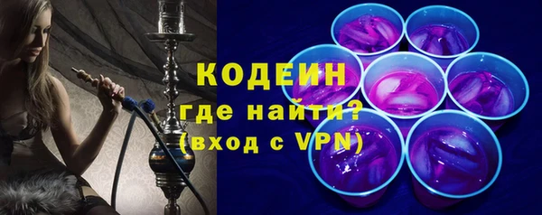 гидра Вязьма
